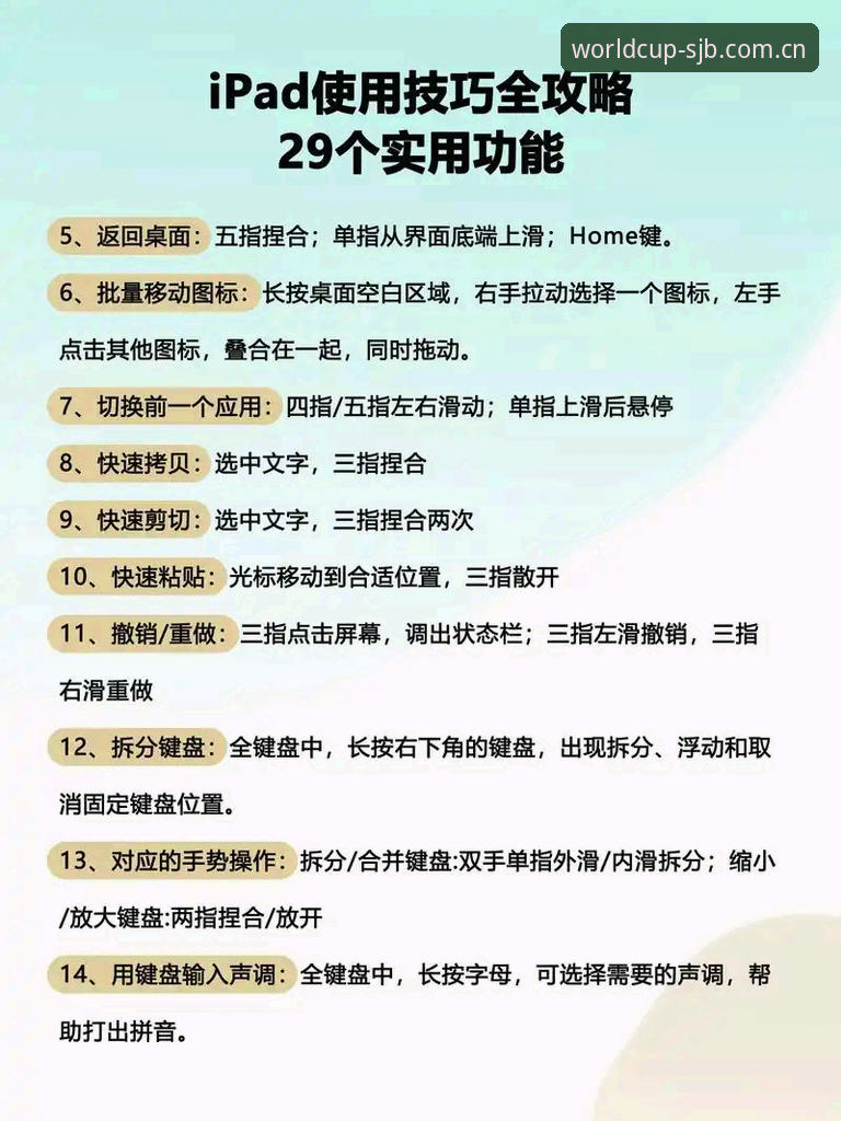 SJB官方版使用技巧 SJB官方版使用技巧完整指南:从入门到精通的实用经验分享